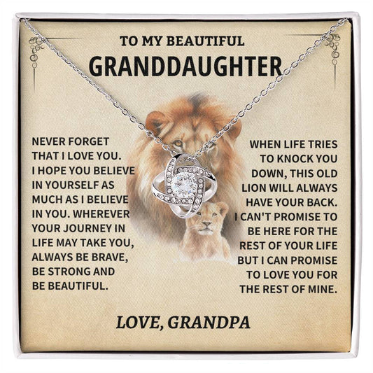 Granddaughter Gift-Never Forget-From Grandpa